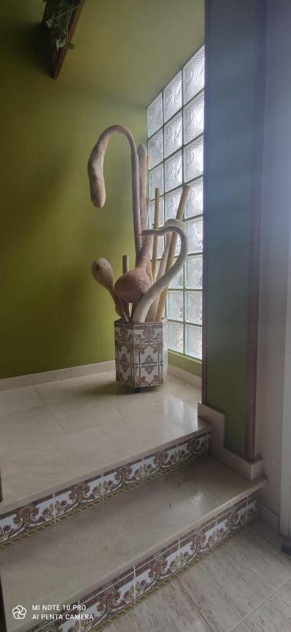 Villa El Raconet Del Riu à Deltebre Extérieur photo